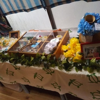 フラダンス衣装、装飾等関連品の画像