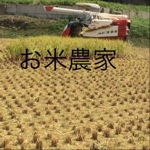 昔ながらの純新米こしひかり30㎏ 愛媛産