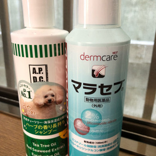 マラセブシャンプー