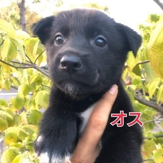 とってもかわいい男の子②