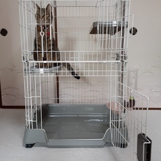 猫用ケージ（マルカン キティケージ 1000 グレー）