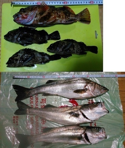 ３人乗りゴムボート