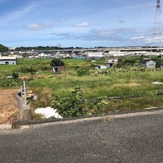 田んぼ 大阪府羽曳野市(300坪) - 羽曳野市