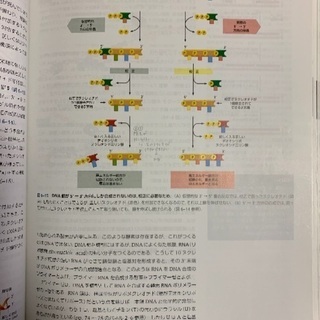Essential細胞生物学:700円(緊急値下げ)の画像