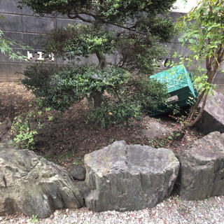 庭石の画像