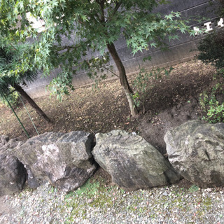 庭石の画像