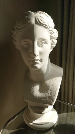 胸像＊ヴィーナス＊ギリシア＊石膏