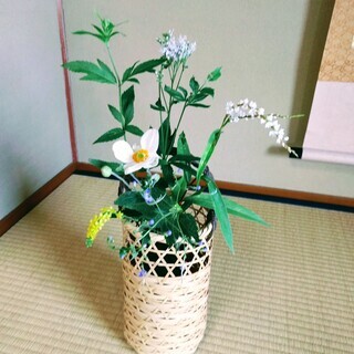 裏千家 茶道教室（体験コース有）の画像