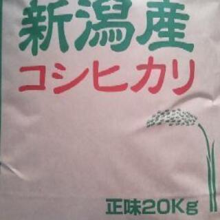 【完売しました！】長岡産新米コシヒカリ玄米20kg中米【精米無料】