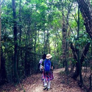 今月もハイキング行きましょう♪40～50代多め♪女性歓迎♪(*^^*)