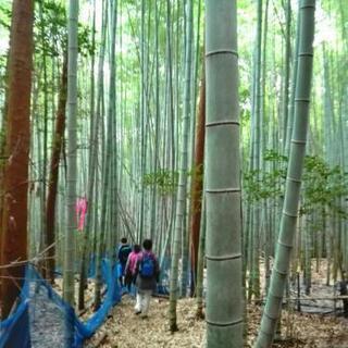 今月もハイキング行きましょう♪40～50代多め♪女性歓迎♪(*^^*) - 広島市