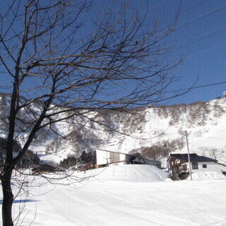 石打丸山スキー場のペンションスタッフ（居候、アルバイト）募集　自由時間が非常に多いのでスノーボードやスキーが嫌というほど滑れますの画像