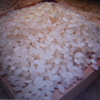 農家直送　混じり気無しの100パーセント令和元年産　静岡コシヒカリ