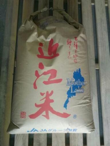 お米 滋賀県産 キヌヒカリ 30キロ