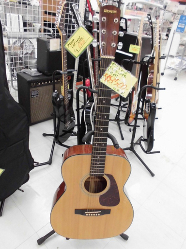 モーリス F-01 アコースティックギター フォークギター アコギ 苫小牧西店