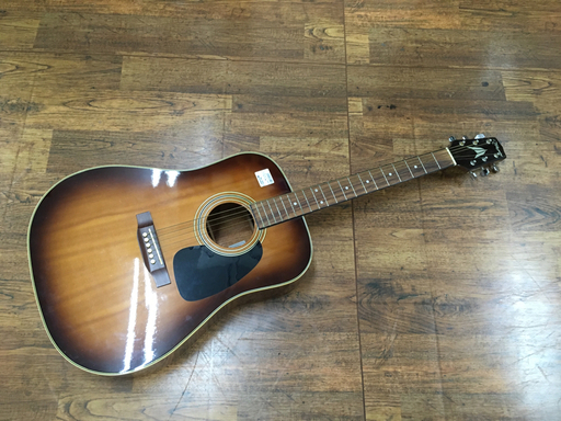 Takamine アコースティックギター T3 BS