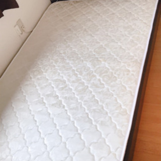 すのこ仕様 コンセント付き ローベットセミダブル