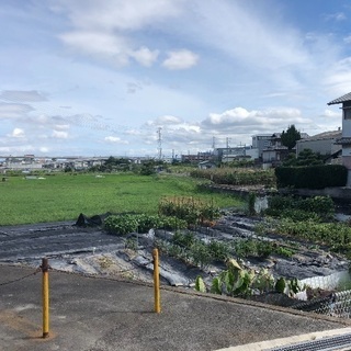 田んぼ(150坪) 農地 大阪府羽曳野市 - 土地販売/土地売買
