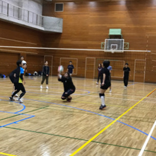 一緒にバレーボールしませんか〜？？メンバー大募集‼️‼️ - スポーツ