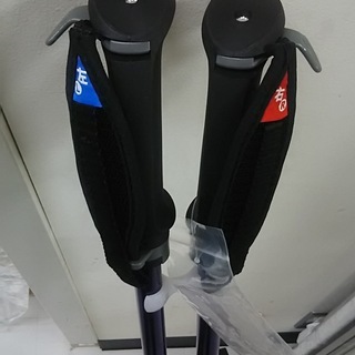 車椅子導入を検討しようかな?と考えておられる歩行弱者の方々にマンツーマンでメディカルノルディックウォーキングを指導します。の画像