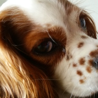 ■日払い■　１０月１７日から短期手元アルバイト募集　簡単な作業　...