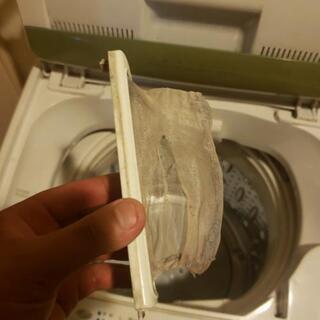 引越しのため無料で譲ります。の画像