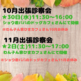 １０／３０（水）東大阪市ショウ君パパのドッグカフェさんにて出張診察会
