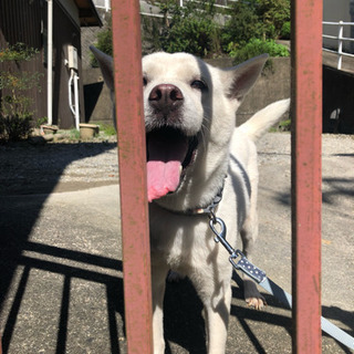 ご家族決まりました。