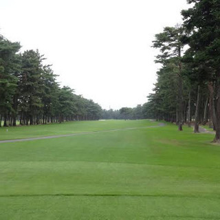 ゴルフ一緒にやりましょう🏌️‍♂️