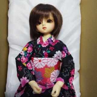 MSD ミニスーパードルフィー 女の子2体