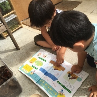 モンテッソーリの小さな家の画像