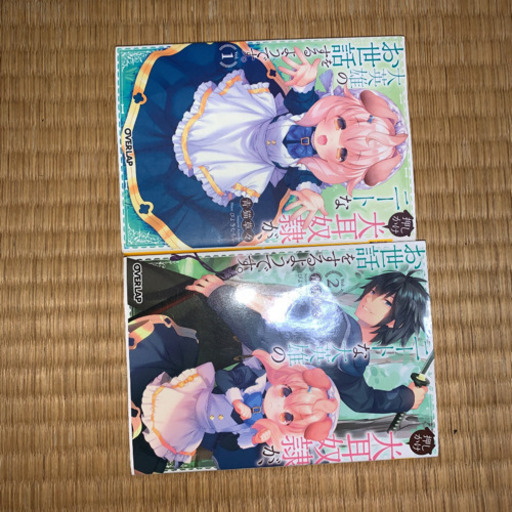 画集　ラノベ　漫画　まとめ売り