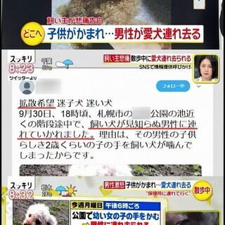 迷い犬ハッピーくん探しています。 - 手伝って/助けて