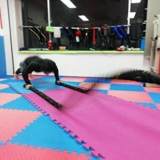 バトルロープ体験トレーニングの画像