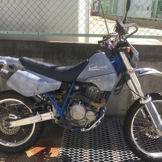 DR250S SUZUKI オフロード