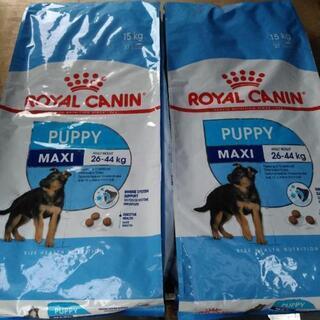 募集中】ロイヤルカナン マキシ パピー30kg