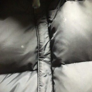 エヴァ ブルゾン他の画像