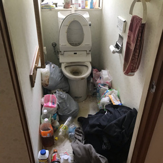 ハエが発生してしまった汚染部屋はお任せ下さい