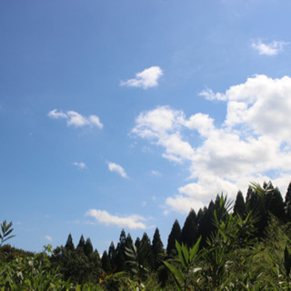 写真好きな方居ませんか？