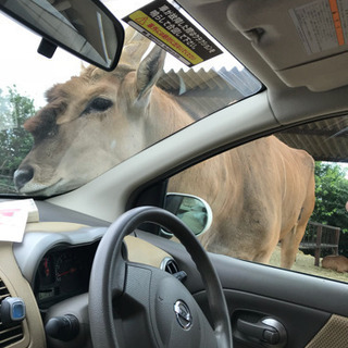 お出かけしませんか！！