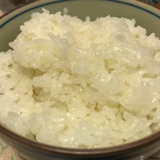 令和元年度　愛知県産(常滑市)・新米キヌヒカリ米20kg無農薬、...
