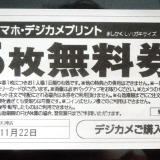 スタジオマリオ 無料お試し券の画像