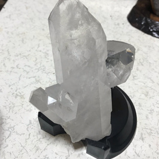 鑑賞石、
