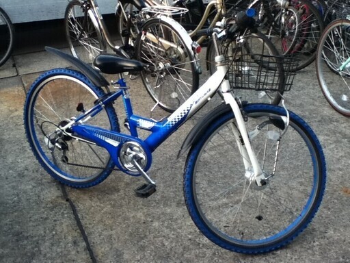 男の子用マウンテンタイプ24