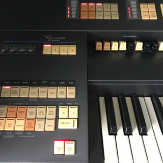 SUZUKI Hammond の画像