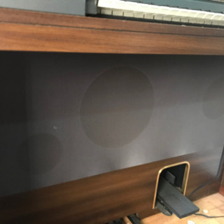 SUZUKI Hammond の画像