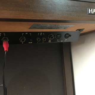 SUZUKI Hammond の画像