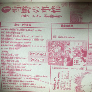 カレカノ特集本の画像