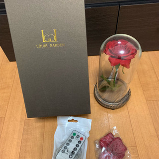 美女と野獣の薔薇