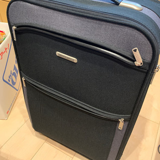 キャリーバック